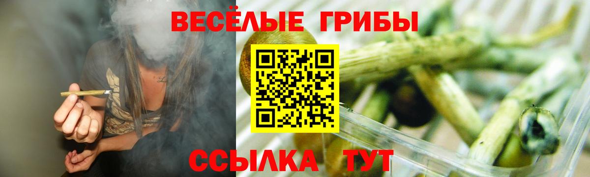 Галлюциногенные грибы MAGIC MUSHROOMS  Вход с VPN  Елизово  Галлюциногенные грибы Magic Shrooms 